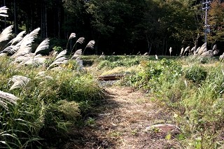 旧舟形街道 下川原 清川 立川町 東田川郡 山形県