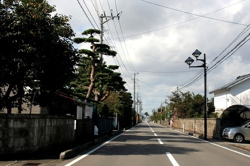 町並み 東興野 狩川 庄内町 東田川郡 山形県