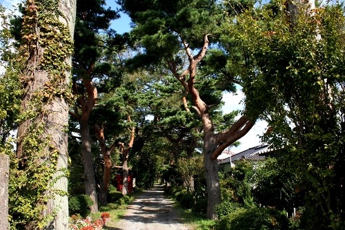 熊野神社参道 堂の下 狩川 庄内町 東田川郡 山形県