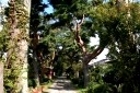 熊野神社参道 堂の下 狩川 庄内町 東田川郡 山形県