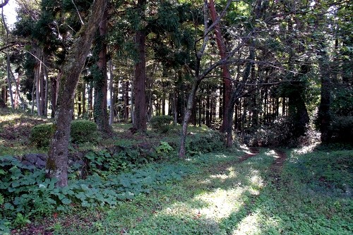 狩川城址 楯山 狩川 庄内町 東田川郡 山形県