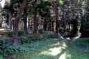 狩川城址 楯山 狩川 庄内町 東田川郡 山形県
