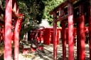 光星寺稲荷大明神 中里 三ヶ沢 庄内町 東田川郡 山形県