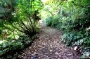 歴史の道 新地 添川 鶴岡市 山形県