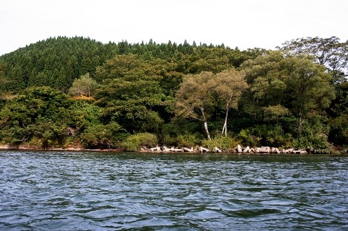 最上川柳巻 古口 戸沢村 最上郡 山形県