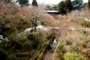 洗玉澗 東福寺 東山区 京都市