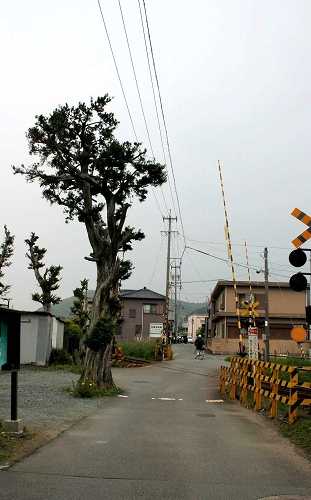 旧二見道 二見町三津 伊勢市 三重県
