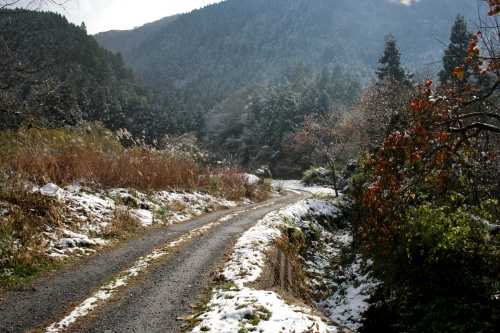 合戦谷 旧道 成田 石巻市