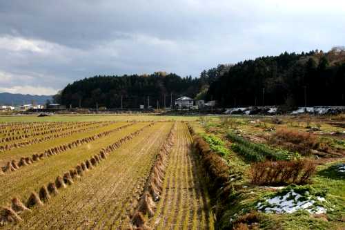 旧道 中田町上沼 登米市