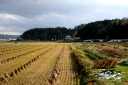 旧道 中田町上沼 登米市