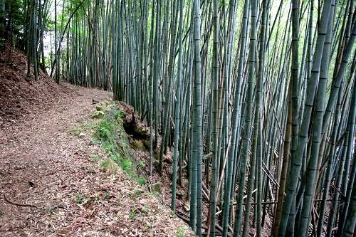 旧伊賀街道 中之瀬 伊賀市 三重県