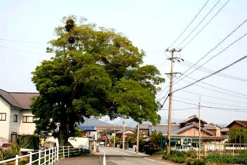 旧伊賀街道 神納町 津市 三重県