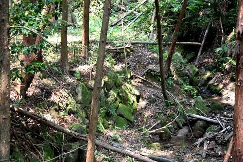 長野氏城跡(東の城) 北長野 美里町 津市 三重県