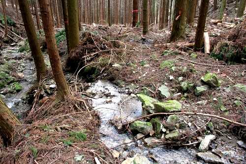 旧長野峠 上阿波 伊賀市 三重県