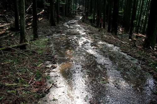 旧長野峠 上阿波 伊賀市 三重県