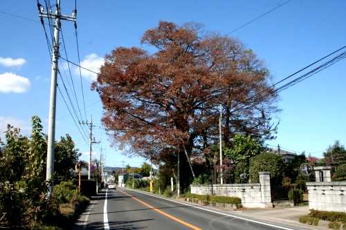 史跡 穴薬師 大久保 吉岡町 北群馬郡 群馬県