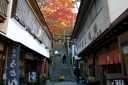 石段温泉街・伊香保神社鳥居 伊香保 伊香保町 渋川市 群馬県