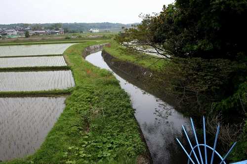 中ノ川 大里睦合町 津市 三重県