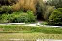 汐見坂 大里窪田町 津市 三重県