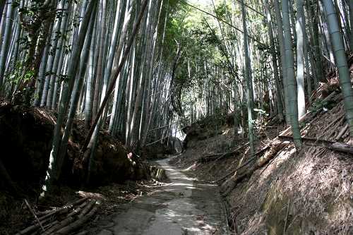 上野城跡 河芸町上野 津市 三重県