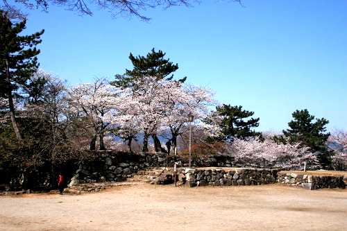 松阪城天守閣跡 殿町 松阪市 三重県