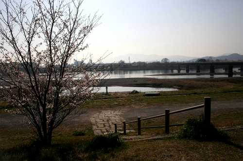 桜の渡し跡・宮川 小俣町元町 伊勢市 三重県