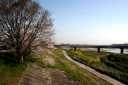 桜の渡し 宮川２丁目 伊勢市 三重県