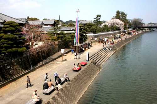 五十鈴川桜まつり 宇治中之切町 伊勢市 三重県