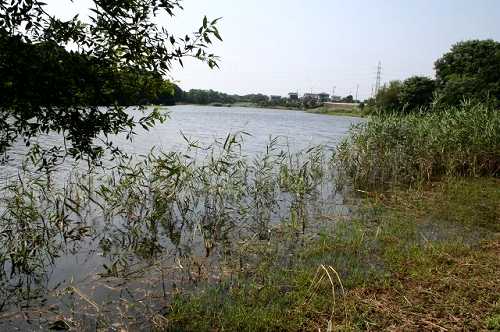 阿漕ヶ浦 村松 那珂郡東海村