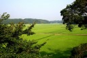 細浦田圃 村松 東海村 那珂郡
