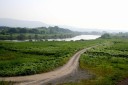 久慈川 東海村 那珂郡