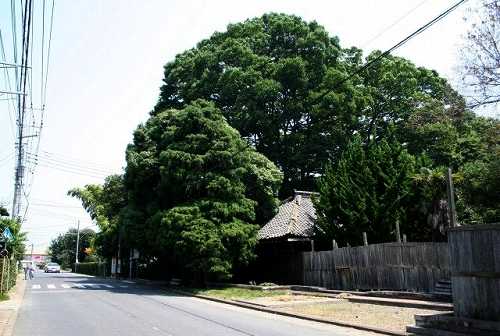 民家 金沢町 日立市
