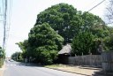 民家 金沢町 日立市