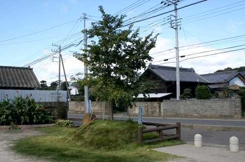 石名坂の榎 石名坂町1丁目 日立市