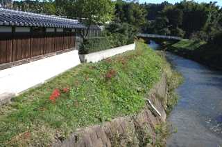 松岡八景