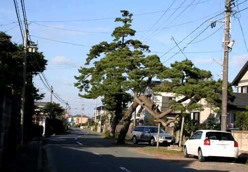 須賀 勿来町 いわき市