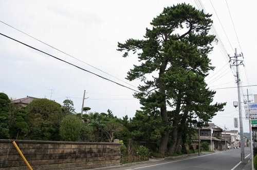 三本松 四倉町 いわき市