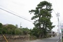 三本松 四倉町 いわき市