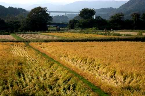 高萩橋より山側風景（常磐線、国道６号） 高萩 広野町 双葉郡
