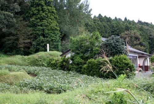 井出一里塚 字向ノ内６７ 大字井出 楢葉町 双葉郡 福島県