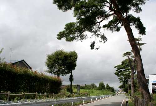 新田町一里塚・陸前浜街道松並木 本岡 富岡町 双葉郡 福島県