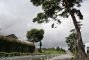 新田町一里塚・陸前浜街道松並木 本岡 富岡町 双葉郡 福島県