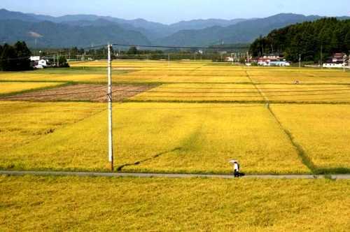 富坂からの眺望 酒田 浪江町 双葉郡 福島県