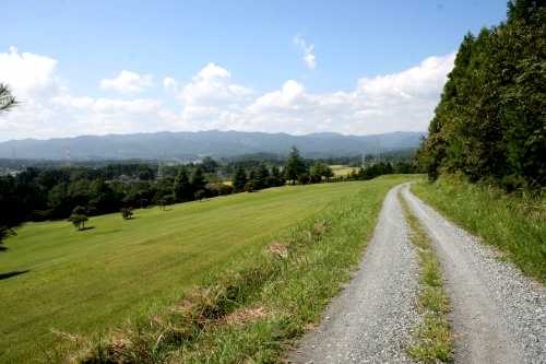 旧道 行徳 片草 小高区 南相馬市 福島県