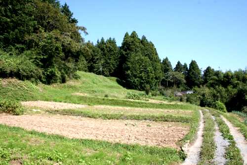 駒ヶ嶺城跡 駒ヶ嶺 新地町 相馬郡 福島県