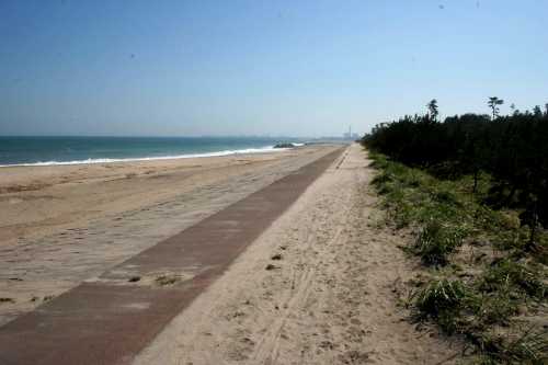 磯浜海岸 磯 山元町 亘理郡 宮城県