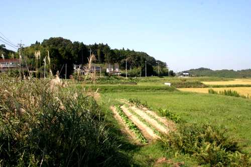 坂元宿－山下宿間旧道（県道44号） 山元町 亘理郡 宮城県