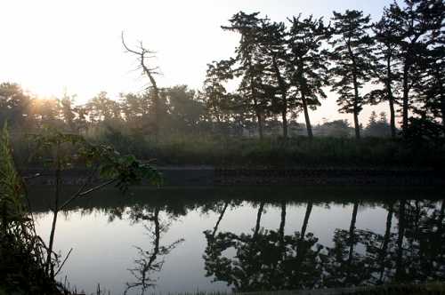 貞山堀 浦崎 岩沼市 宮城県