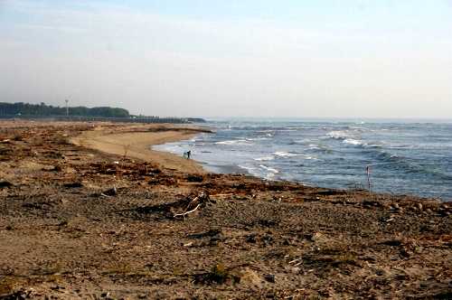 阿武隈川河口 荒浜 亘理町 亘理郡 宮城県
