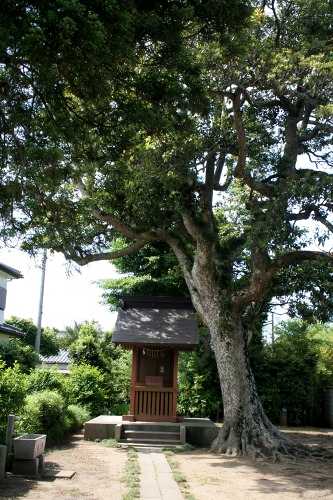 鎌足神社 宮中 鹿島市 茨城県